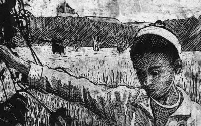 Image / illustration