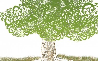Image / illustration